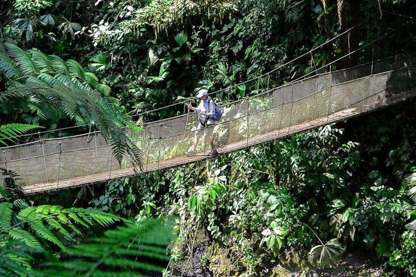 A person walking on a suspended bridge in a forested area. 1