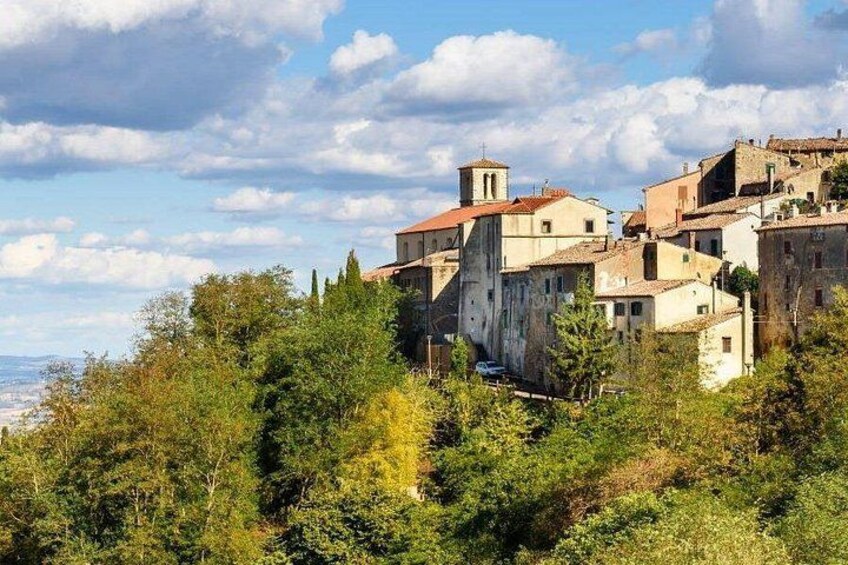 Scansano 1