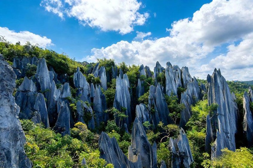 A landscape with tall, jagged rock formations and dense green foliage under a clear blue sky. 2