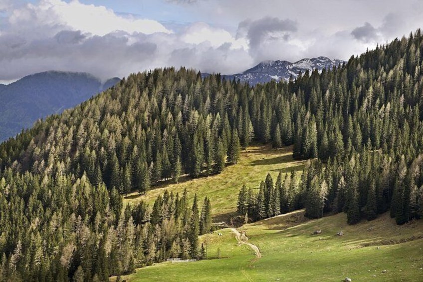 Half-Day Small-Group Hiking Tour of Viševnik 2