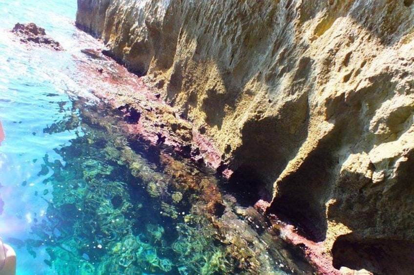Tour of the island of Ortigia and exploration of sea caves with baths. 3