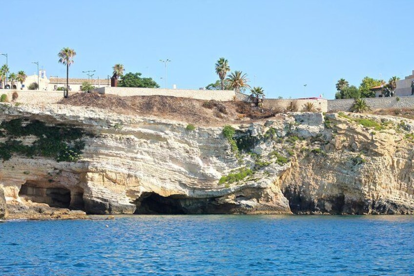 Una scogliera a picco sul mare con l'ingresso di una grotta, palme e edifici. 2