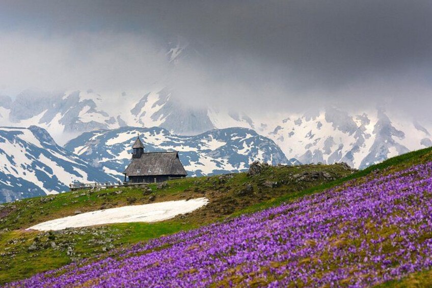 A mountain landscape with a small house, snow patches, and purple flowers. 1