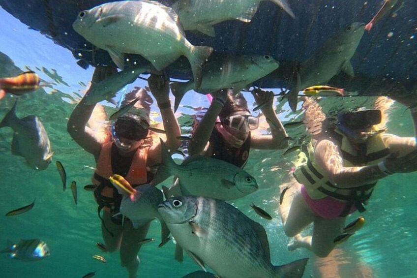 Half-Day Snorkeling Tour at Ixtapa Zihuatanejo with Lunch 5