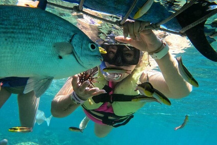 Half-Day Snorkeling Tour at Ixtapa Zihuatanejo with Lunch 4
