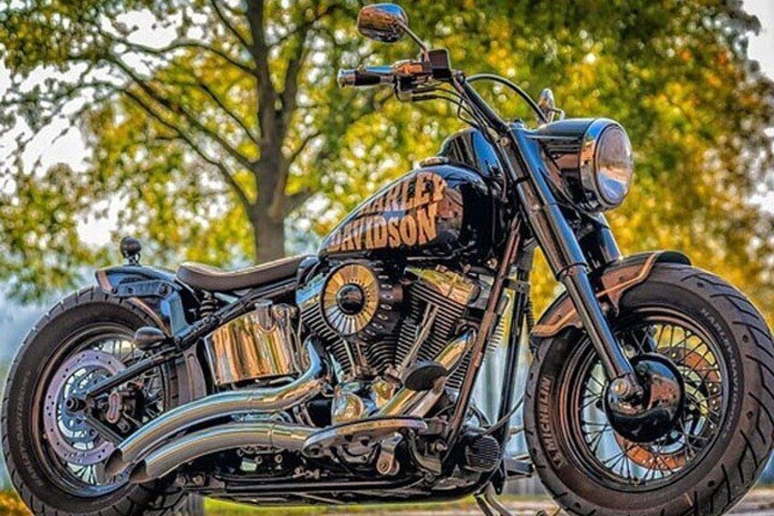 Belgrade Harley Davidson Private Tour 4