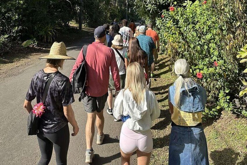 En grupp människor promenerar på en asfalterad stig som omges av grönska och träd. 3