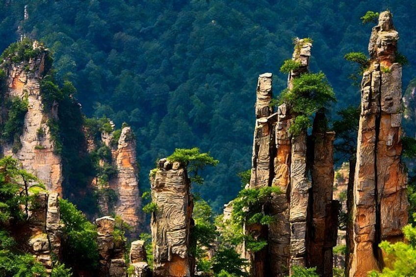 Tall rock formations with trees growing on them. 3