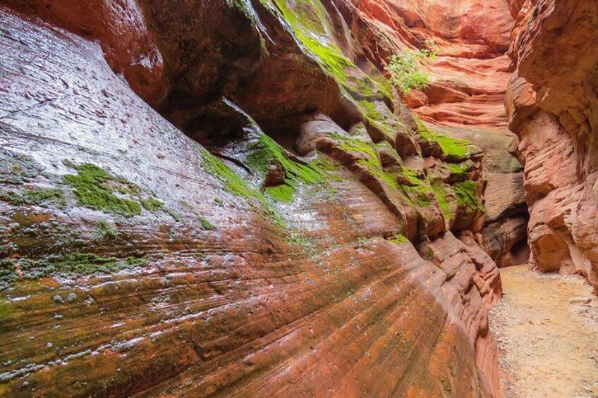Peekaboo Slot Canyon 4WD Tour 2