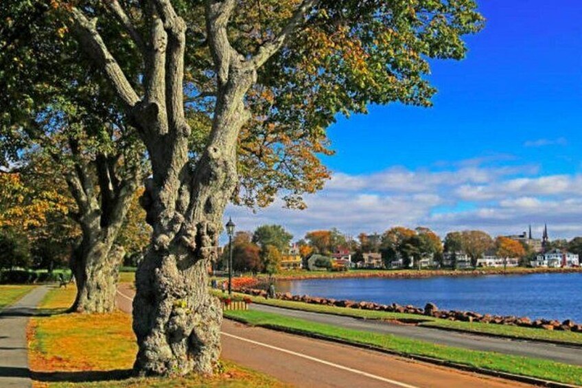 Shore Excursion: Charlottetown Highlights & Delights 4