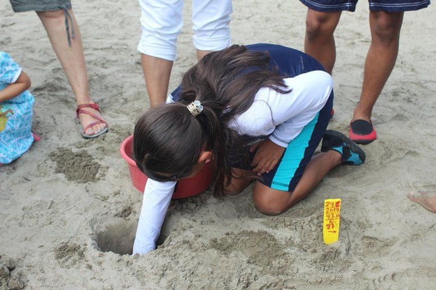 A person digging in the sand with a red bucket. 5
