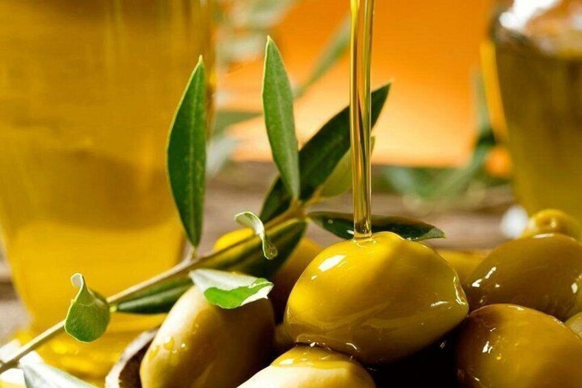 Olive Oil Excursion to an olive mill in the Lecrín Valley 3