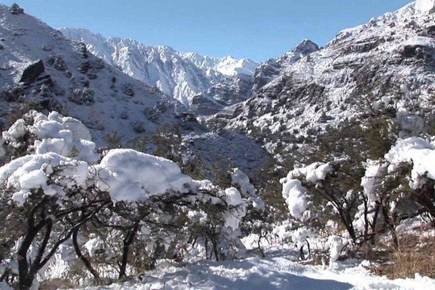 A snowy mountainous landscape with snow-covered trees and rocky terrain. 5