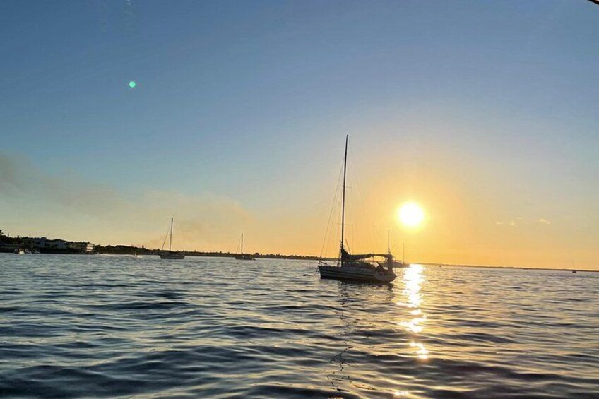 Key Largo Bay Dolphin Sunset Tour 2