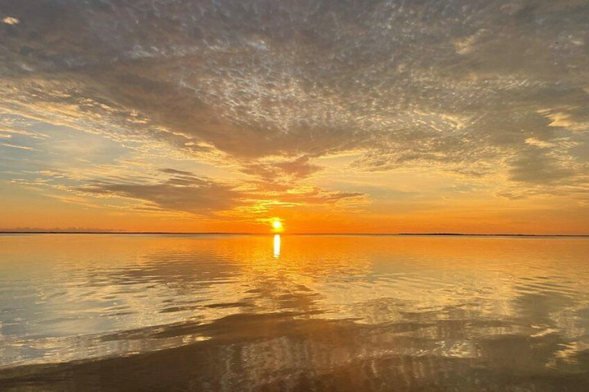Key Largo Bay Dolphin Sunset Tour 1