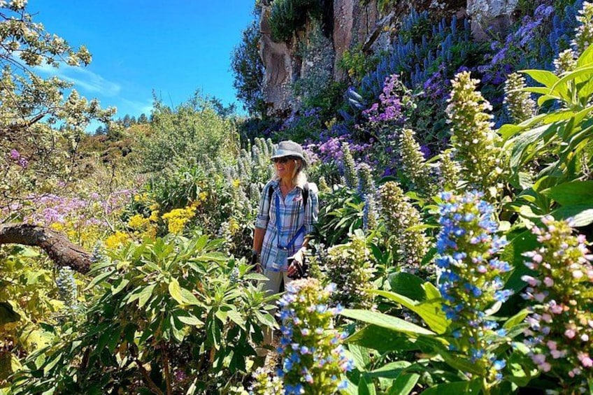 A person standing amidst a variety of colorful flowers and plants in a natural setting. 2
