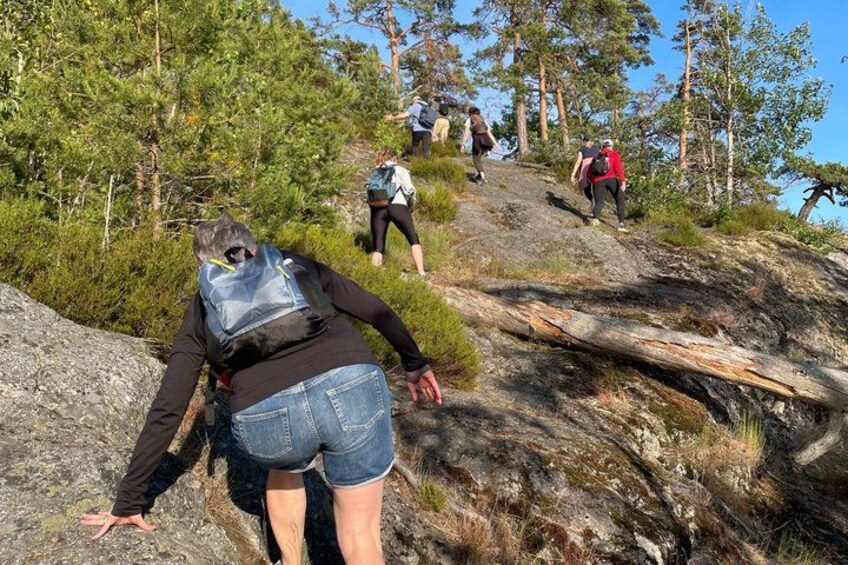 Stockholm: Sunset Hike in Tyresta National Park with Meal 5