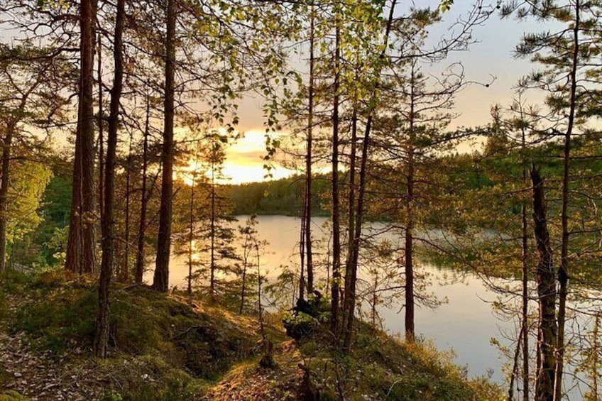 Stockholm: Sunset Hike in Tyresta National Park with Meal 2