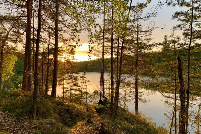 Stockholm: Sunset Hike in Tyresta National Park with Meal 2