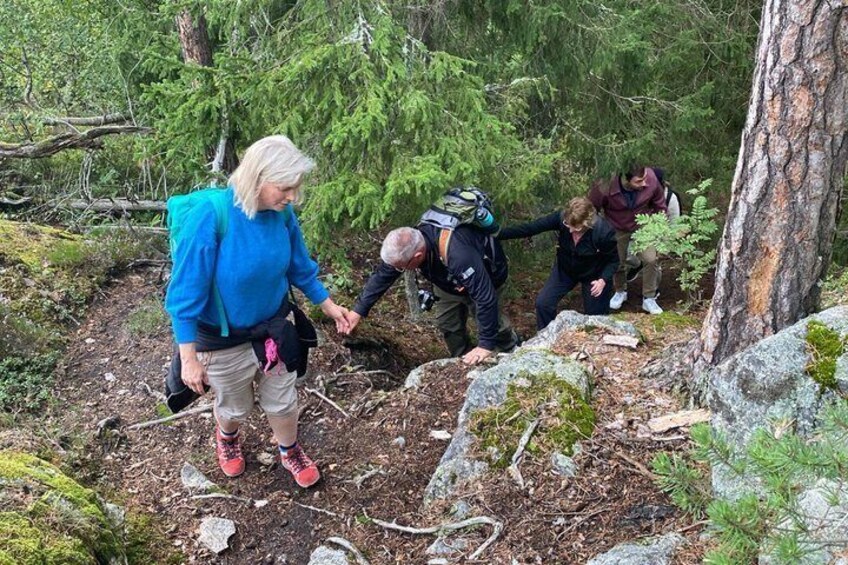Stockholm: Sunset Hike in Tyresta National Park with Meal 1
