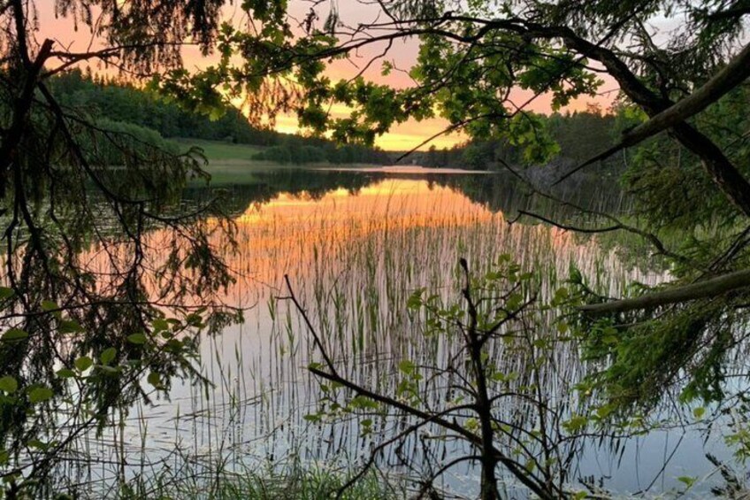 Stockholm: Sunset Hike in Tyresta National Park with Meal 4