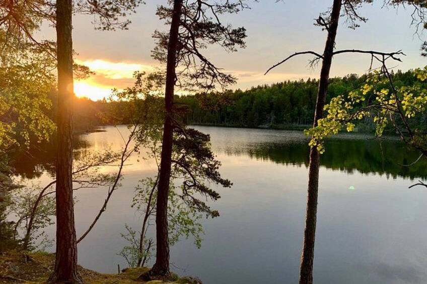 Stockholm: Sunset Hike in Tyresta National Park with Meal 2