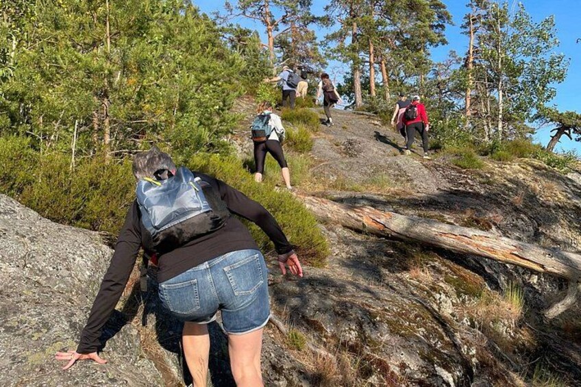 Stockholm: Sunset Hike in Tyresta National Park with Meal 4