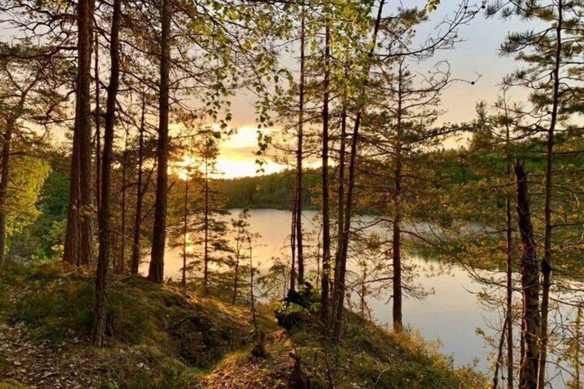 Stockholm: Sunset Hike in Tyresta National Park with Meal 2