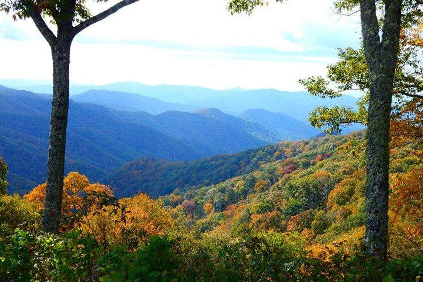 A mountainous landscape with autumn foliage, dense forest, and distant mountain ranges. 1
