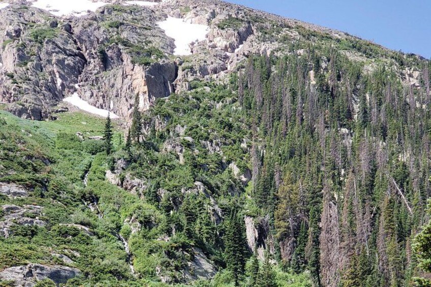 View from Old Fall River Rd 2