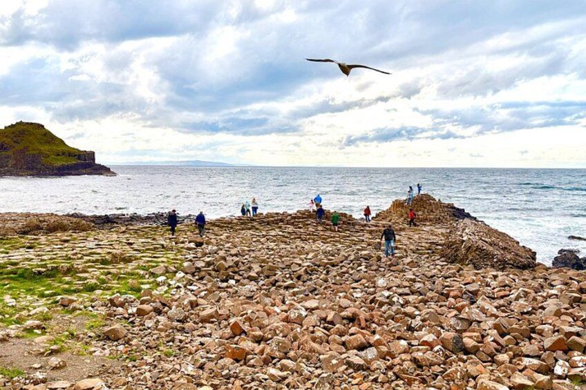 Northern Highlights Full-Day Guided Tour in Northern Ireland 2