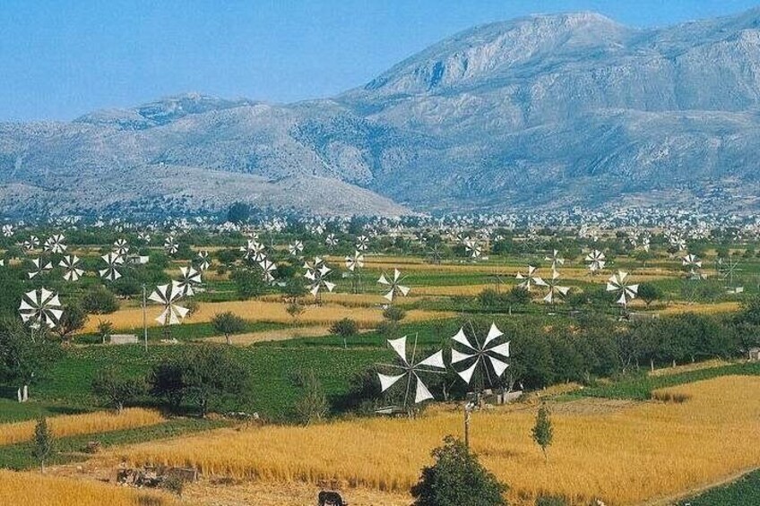 Mulini a vento in un campo con montagne sullo sfondo. 4