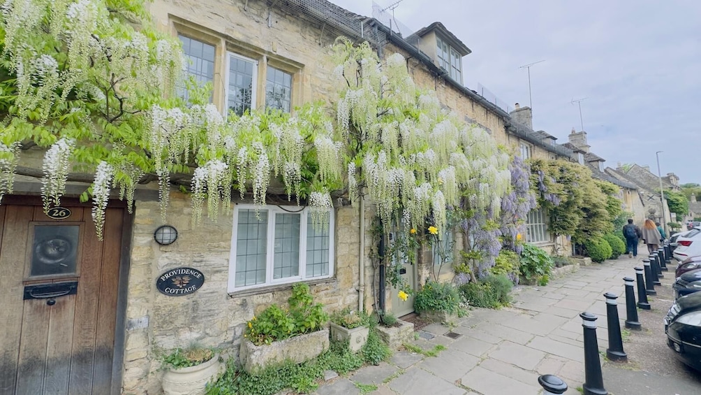 From London: Cotswolds Full-Day Tour with Optional Lunch in Bibury 3