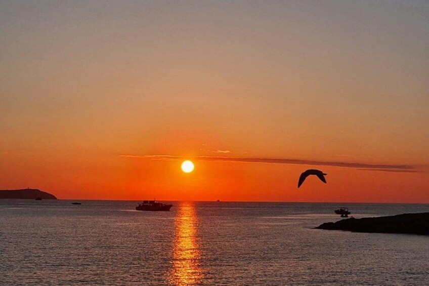 A sunset over the ocean with a boat and a bird flying. 4