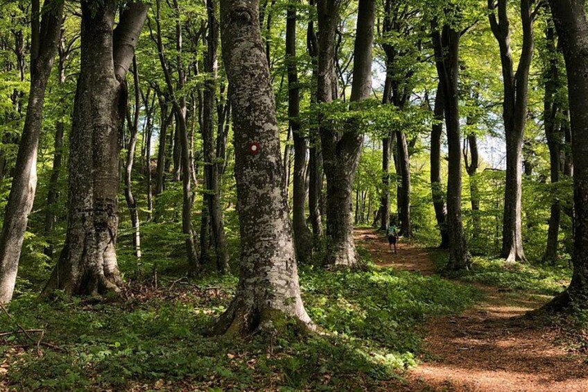 Private eclectic hiking experience of Samobor Hills 2