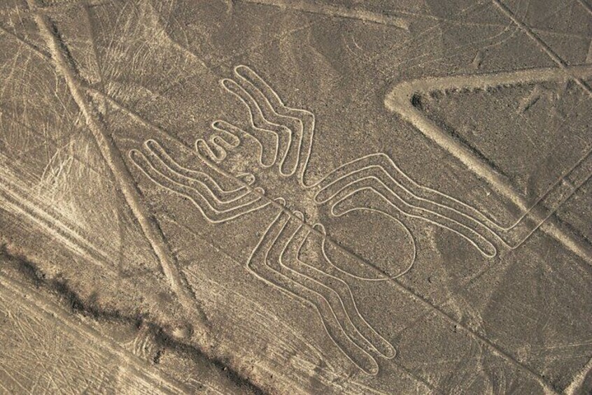 3 Day Tour from Lima: Nazca Lines Flight, Paracas, and Huacachina 1