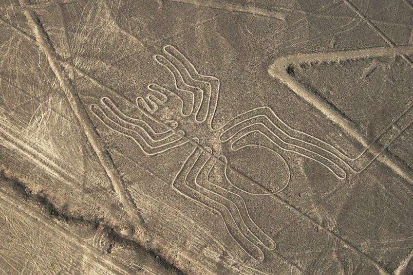 3 Day Tour from Lima: Nazca Lines Flight, Paracas, and Huacachina 1
