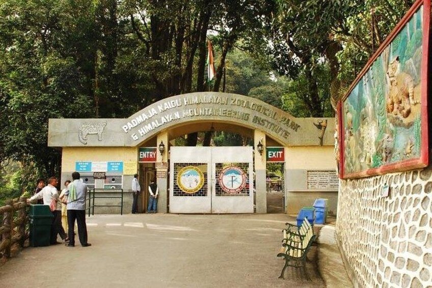 The highest altitude zoo in the world ,housing and providing for many exotic species such as the Red panda, Blue sheep ,snow leopard and many more. 3