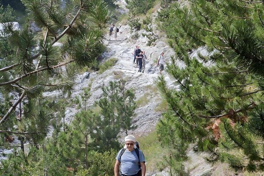 Private hiking tour to Olympus mountain 2