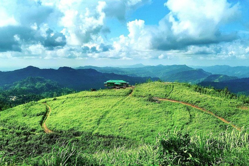 A lush green landscape with a winding path leading to a green-roofed structure on a hill. 1