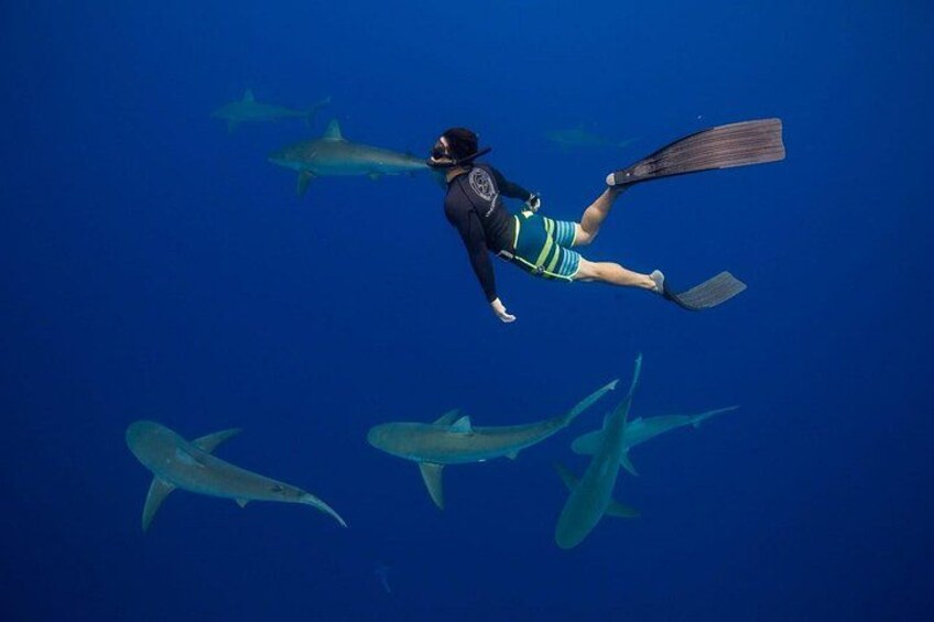 A person scuba diving with sharks in the background. 4