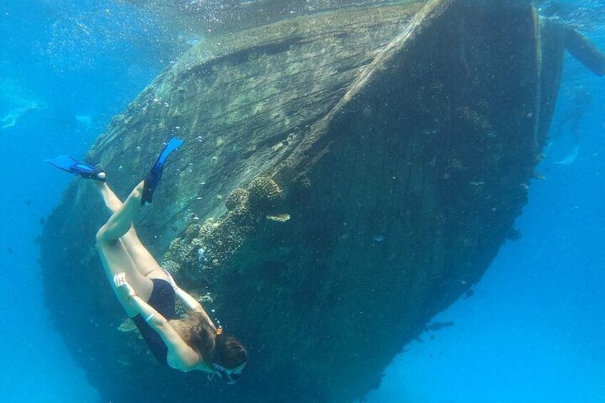 Maafushi: Ship wreck & Nurse shark snorkeling with Dolphin watching 3