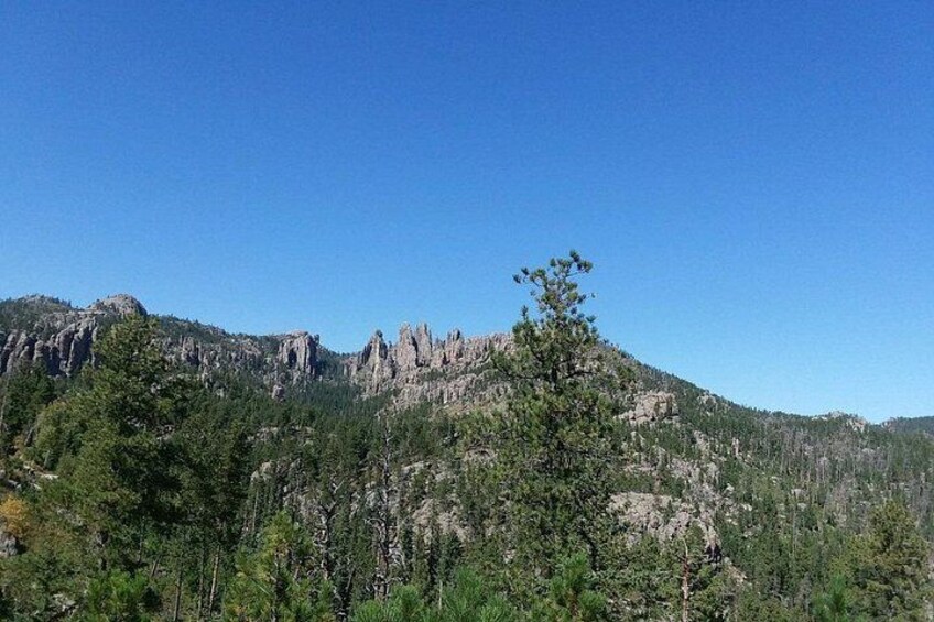 Bus Tour of Mount Rushmore and the Black Hills 2