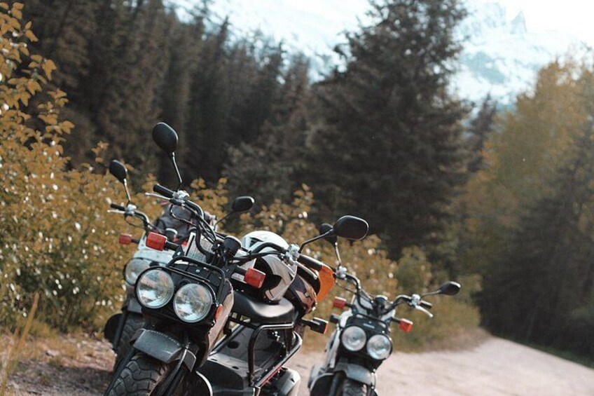 Honda Ruckus Glamour Shot 3