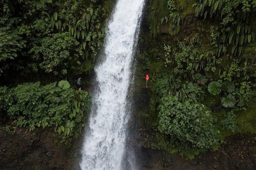A waterfall surrounded by dense greenery. 5