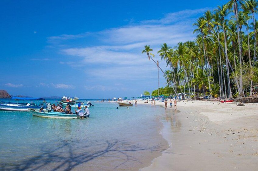 A beach with palm trees, boats, and people. 4