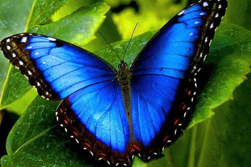 Costa Rica family tour package 3