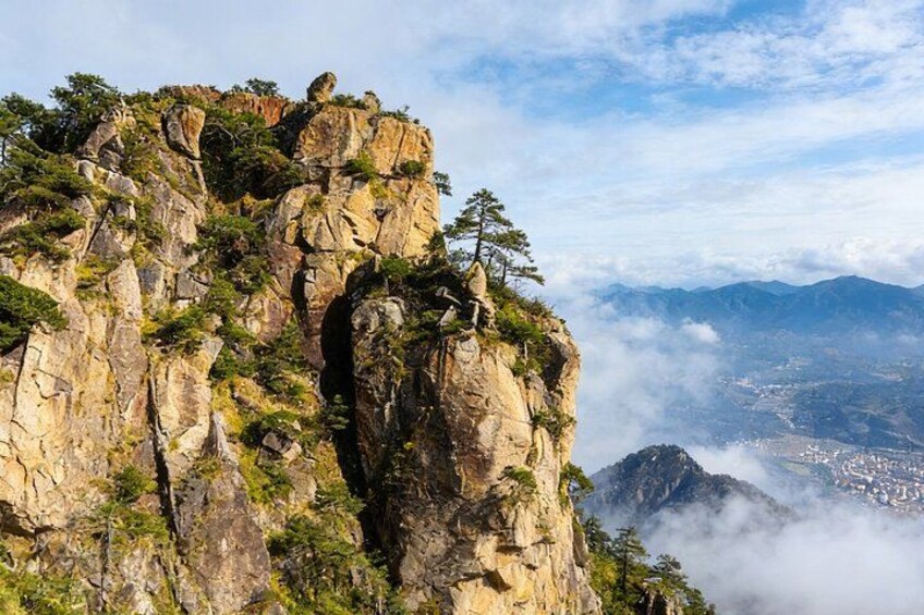 A rugged mountain peak with a lone tree, dense vegetation, and a valley with mist-covered mountains in the background. 2
