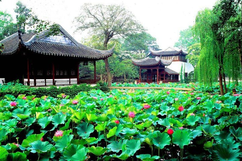 4-Hour Suzhou Private Flexible Tour with Garden and Boat Ride Option 5