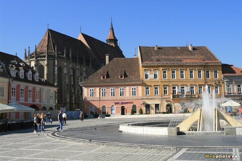 Bears Sanctuary, Dracula Castle and Brasov City - Full Day Trip from Bucharest 3